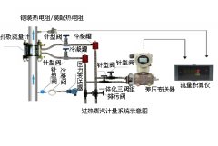 蒸汽计量系统